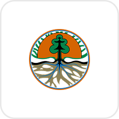 logo-section-1